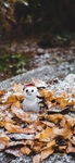 雪人图片
