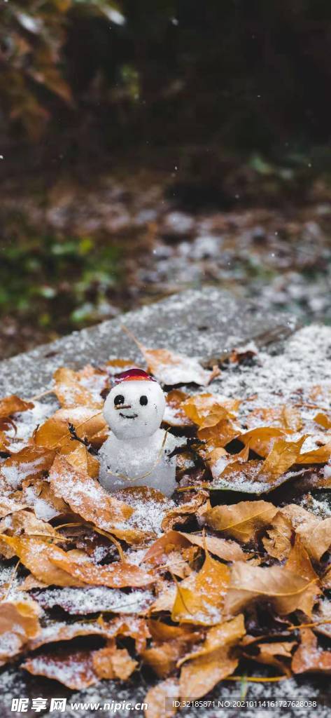 雪人图片