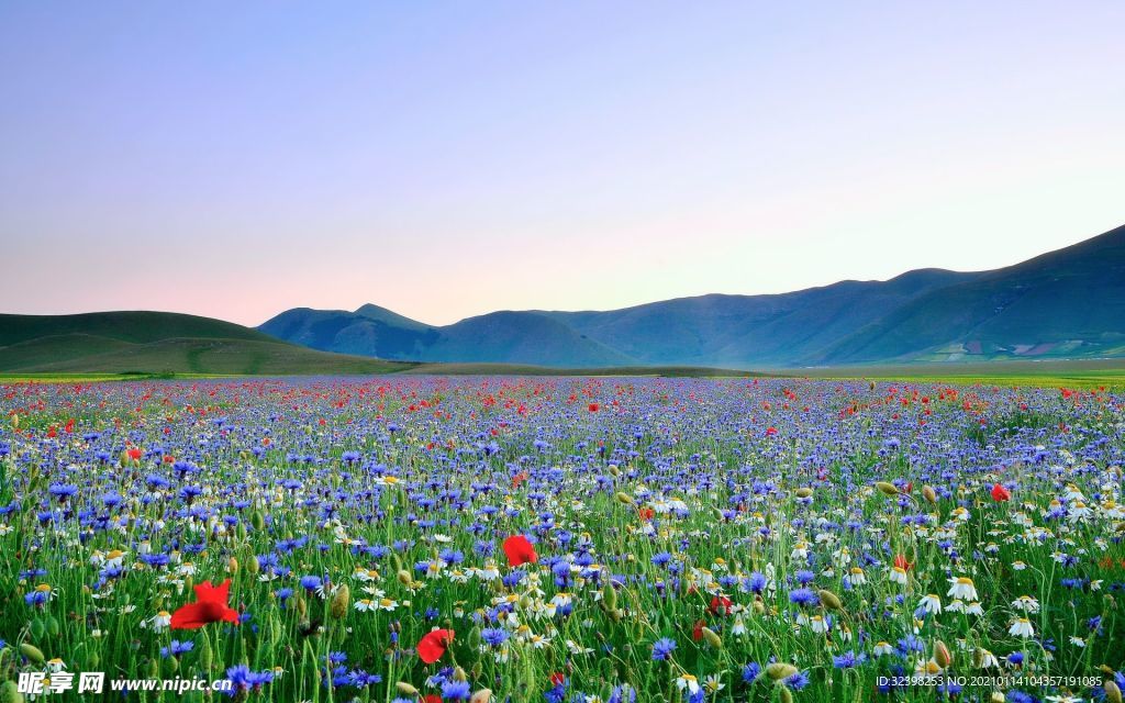花海