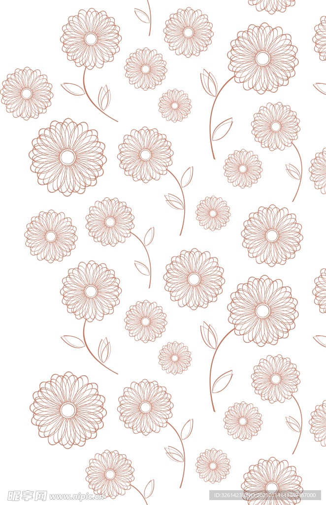 菊花边框