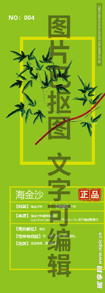 海金沙