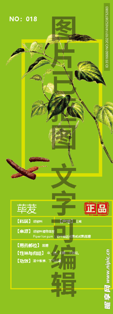 荜茇