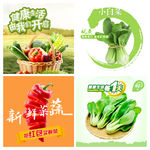 蔬菜挂图