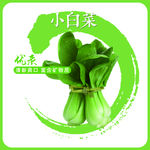 蔬菜挂图