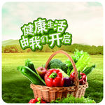 蔬菜挂图