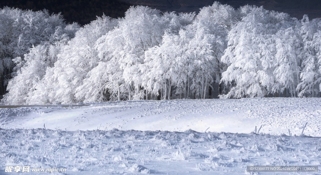 雪地