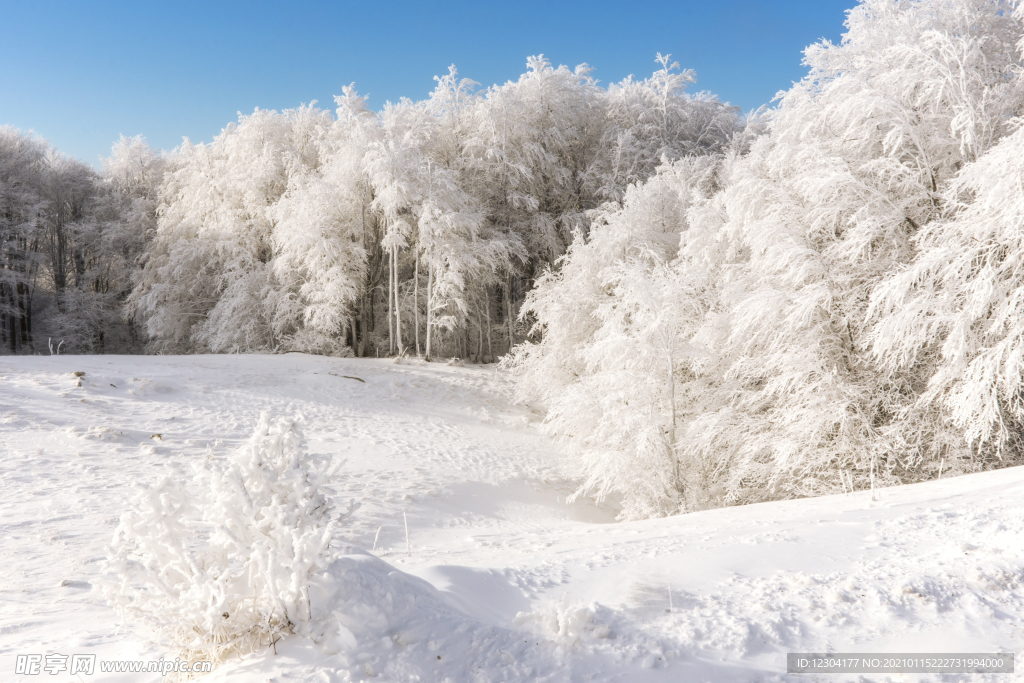 雪地