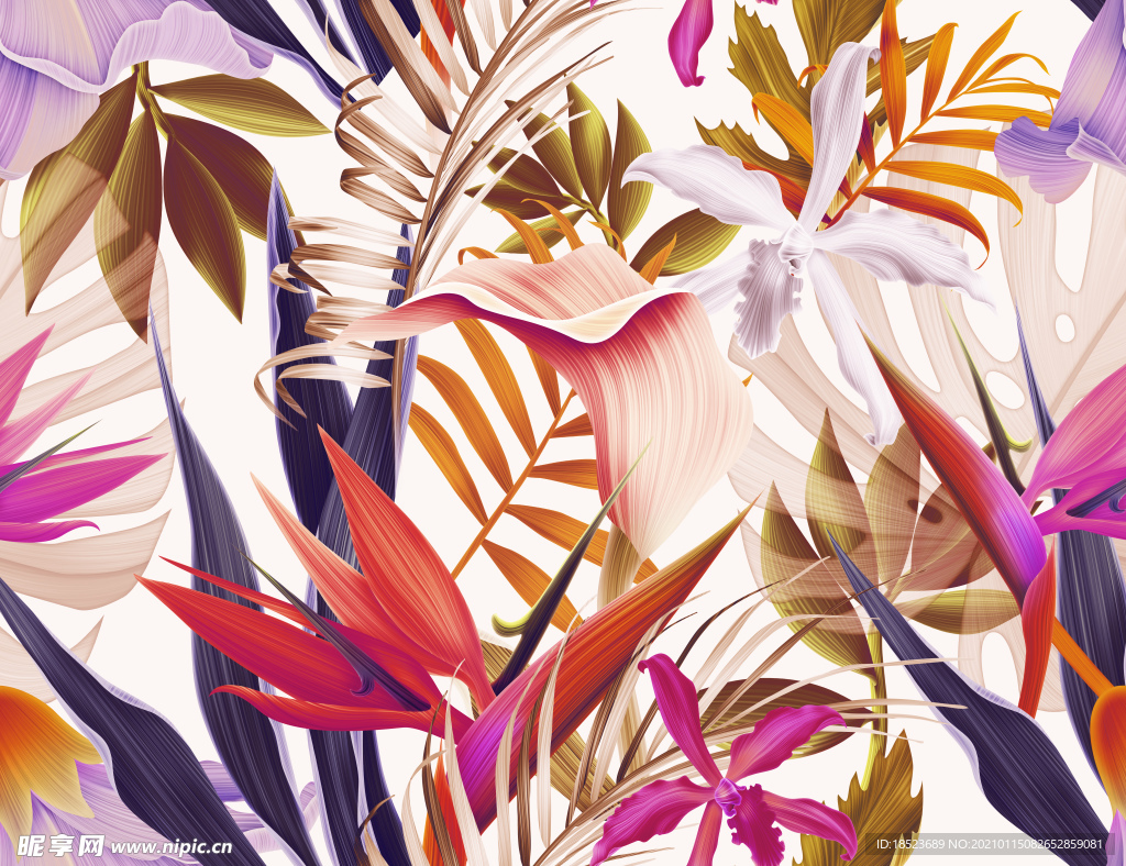 热带花