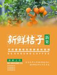 桔子海报