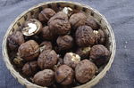 鲜核桃