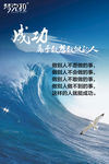 公司文化