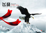 公司文化