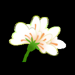 植物花朵元素
