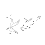 线条飞鸟元素