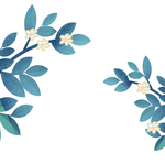 插画植物元素