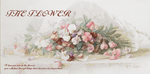 手绘鲜花插画