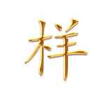 细体金字字体样式