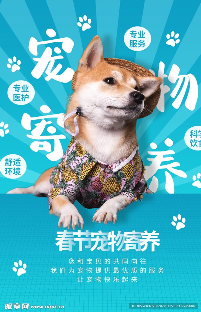 宠物寄养促销活动宣传海报素材