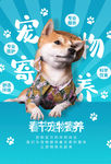 宠物寄养