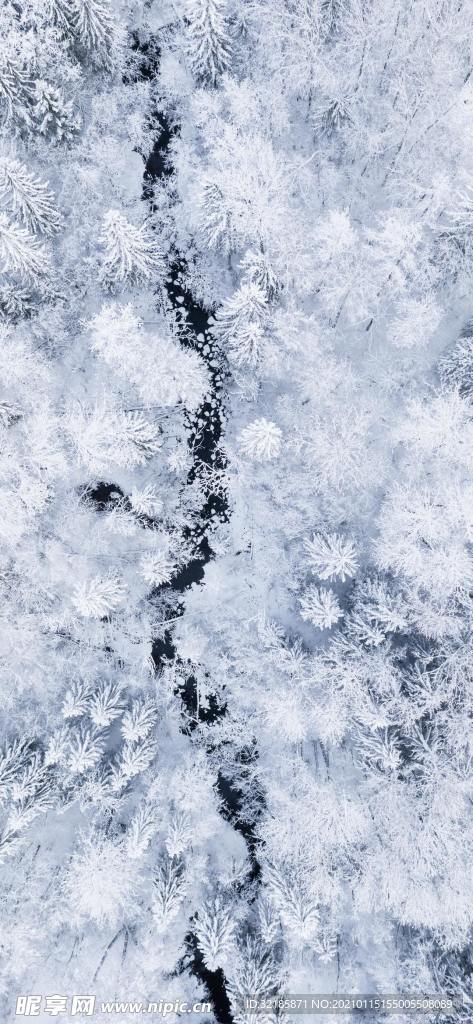自然   风景    图片
