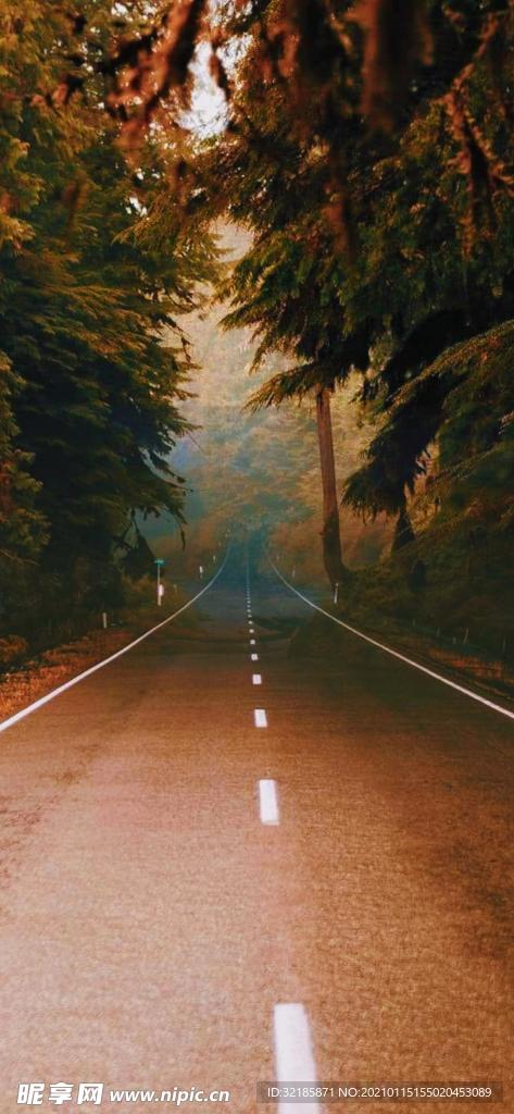 自然界   风景    图片