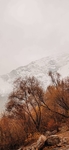 自然界   风景    图片