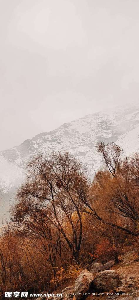 自然界   风景    图片