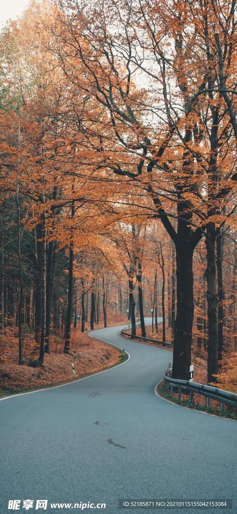 自然界   风景    图片