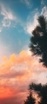 自然   风景    图片