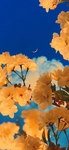 黄钟木花  风景    图片