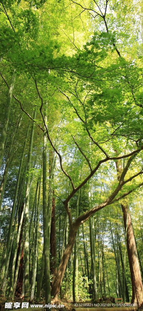 自然界   风景    图片
