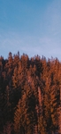 自然界   风景    图片