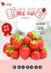 草莓海报