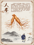 中医养生海报