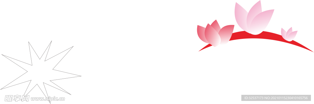 荷花