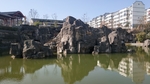 校园