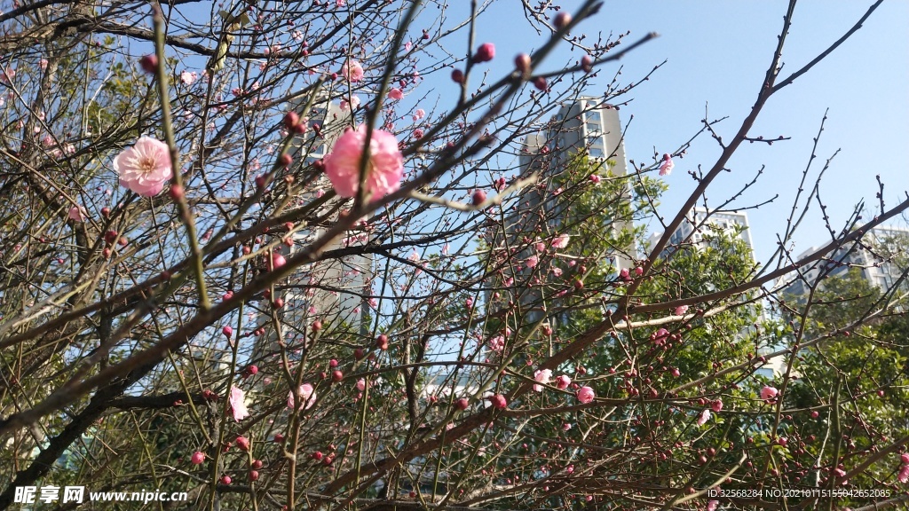 花