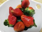 诱人草莓
