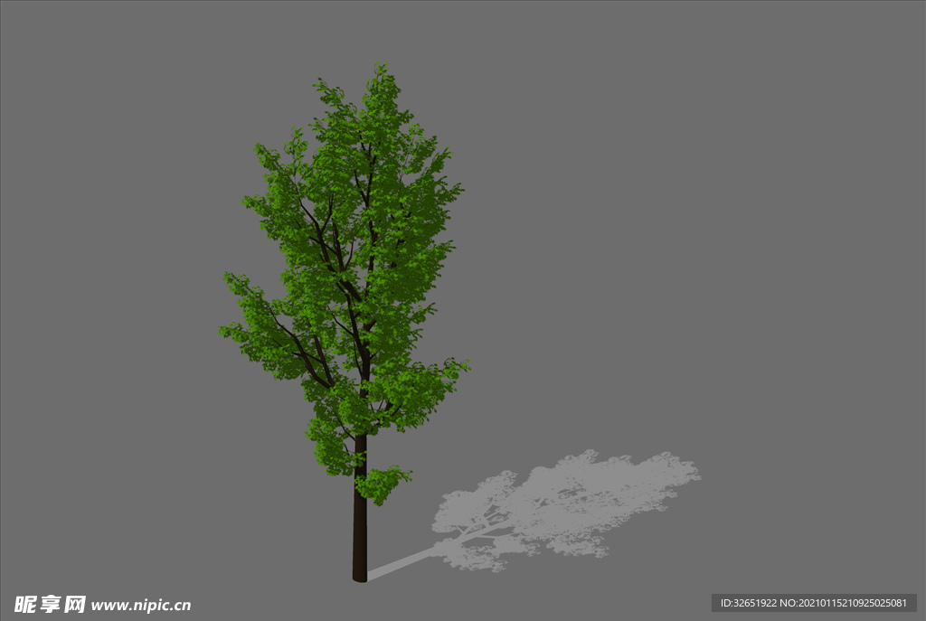 植物 3D树 SU模型