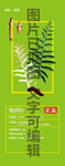 骨碎补