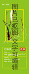 白茅根