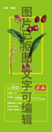 山慈姑冰球子