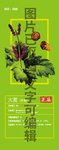 大黄