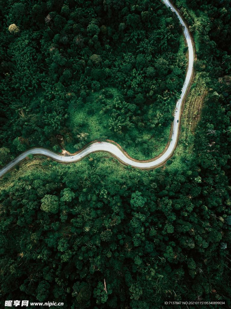 山路