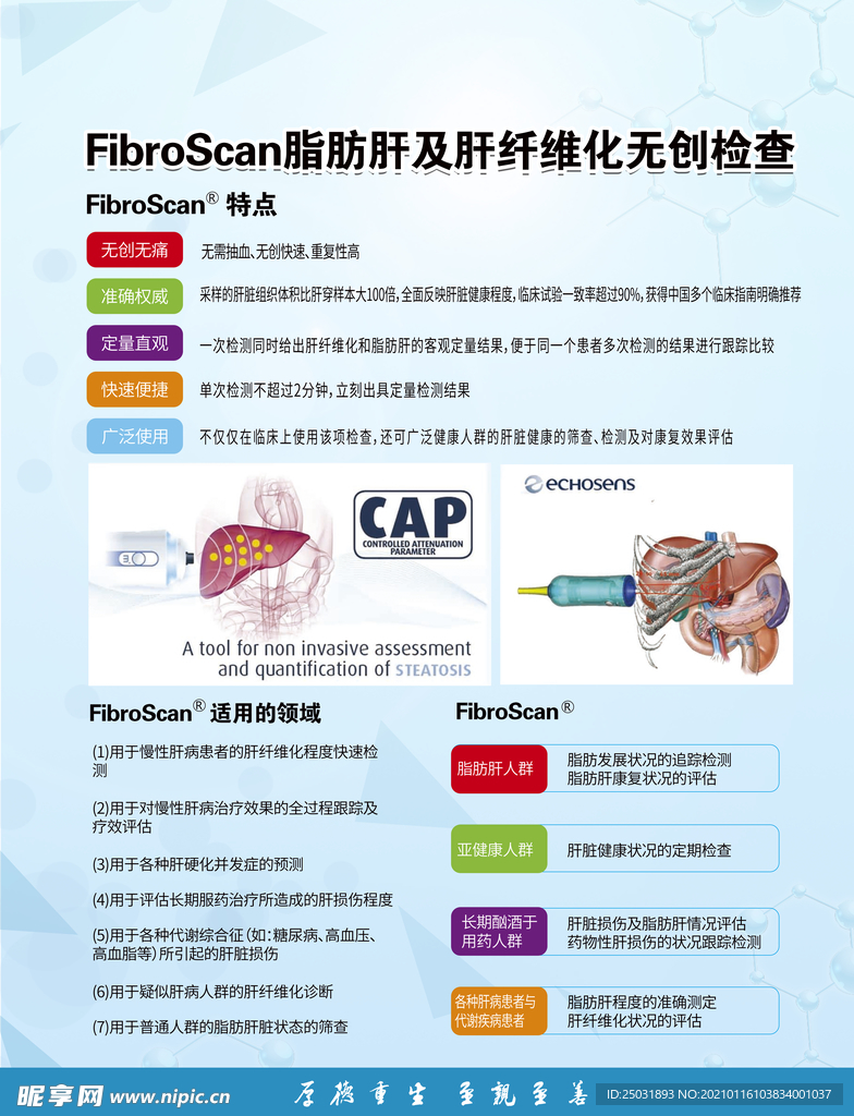 肝脏海报图片