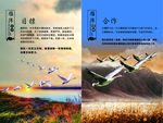 公司文化