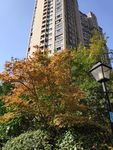 住宅楼
