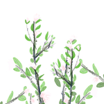 卡通植物花朵元素