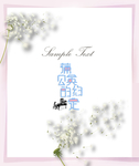 蒲公英的约定