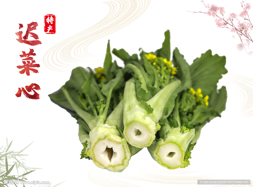 增城迟菜心